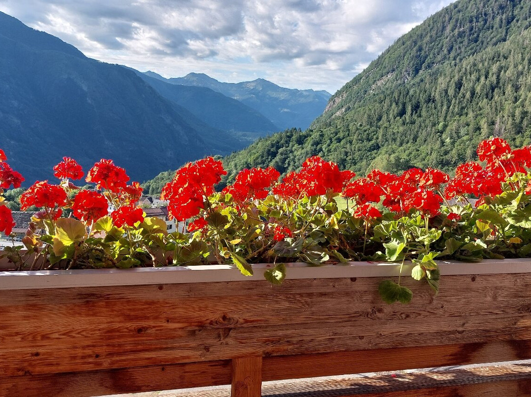 Hotel Belvedere Wellness & Spa主图