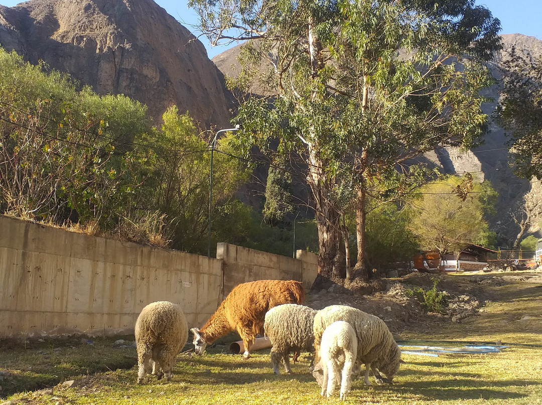 Fundo Hotel Ayarpongo主图