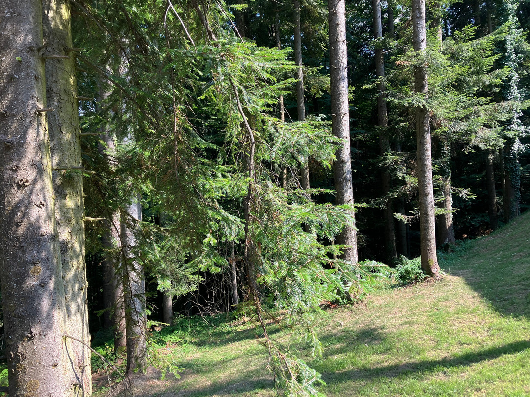 Bijele Vode - spa&nature hotel