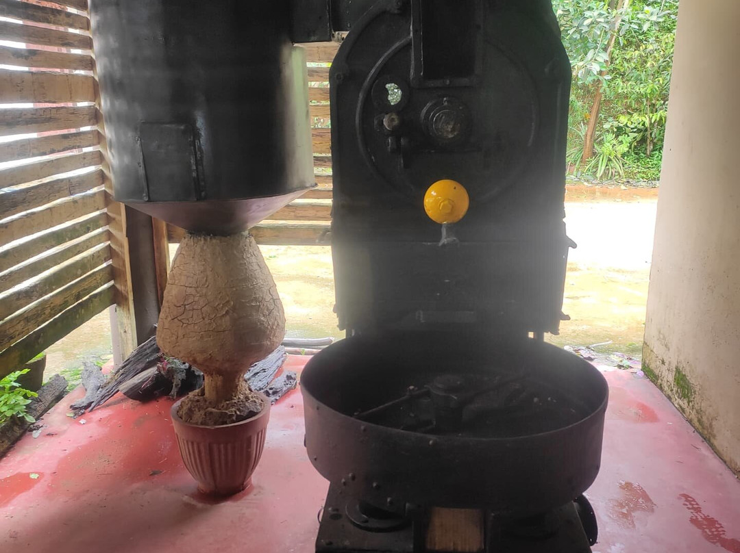 Brindhavan Homestay Sakleshpur主图