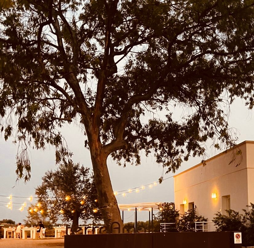 TerreAmare Agriturismo主图