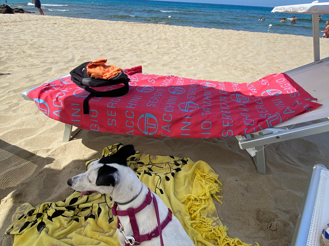 Bau Bau Beach-Lido di Jesolo必去景点
