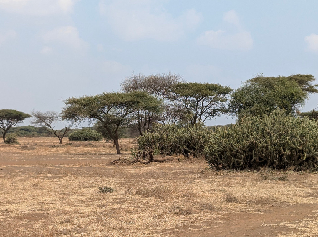 Bike2kili safaris-莫西必去景点