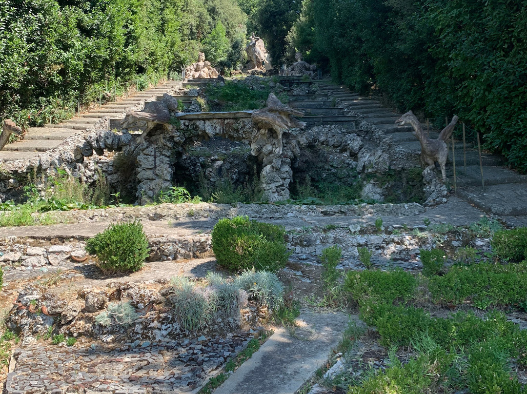 Storico Giardino Garzoni -  Casa delle Farfalle景点图片
