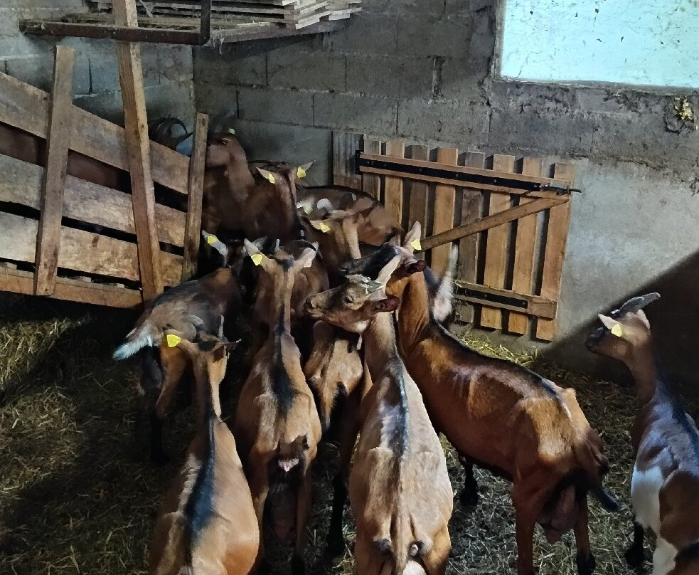 La Ferme de Vigne Haute-Reilhac必去景点
