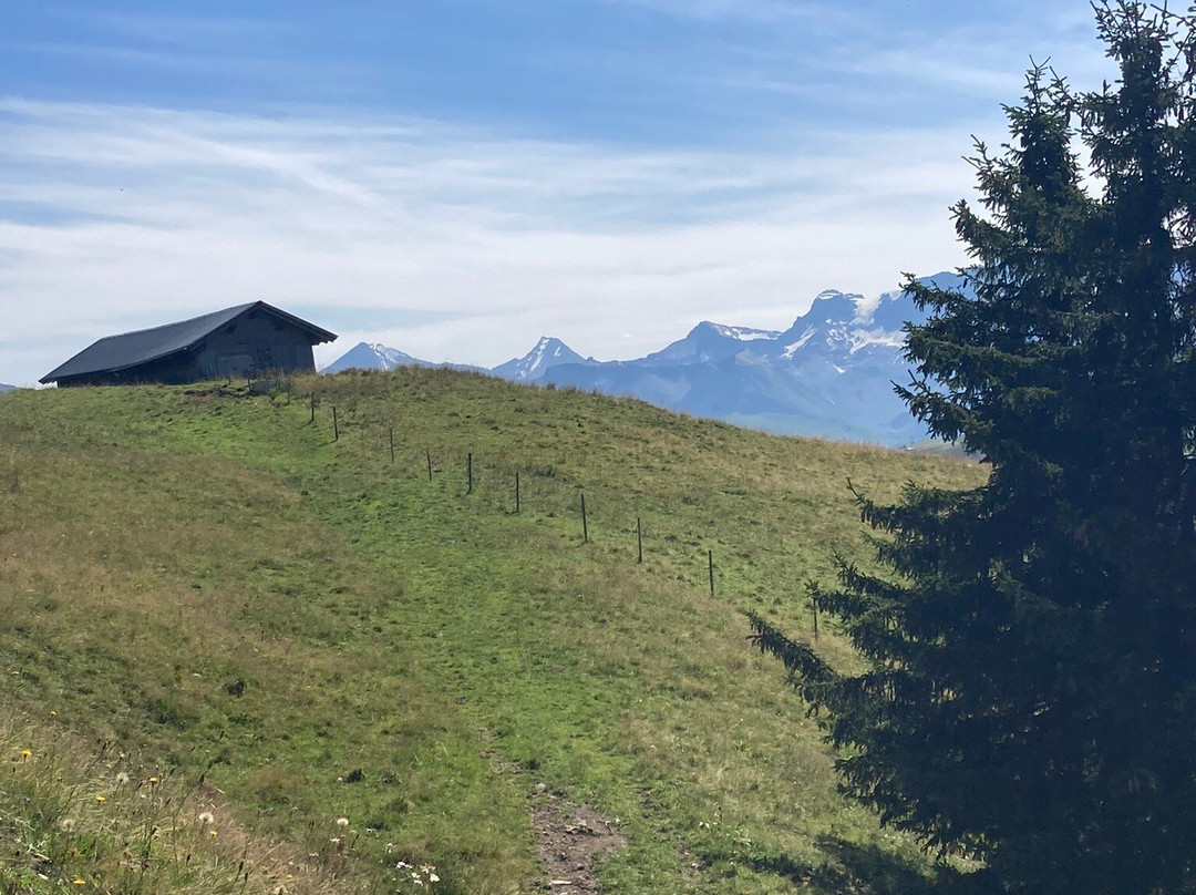 Horneggli - Hornberg - Rinderberg景点图片
