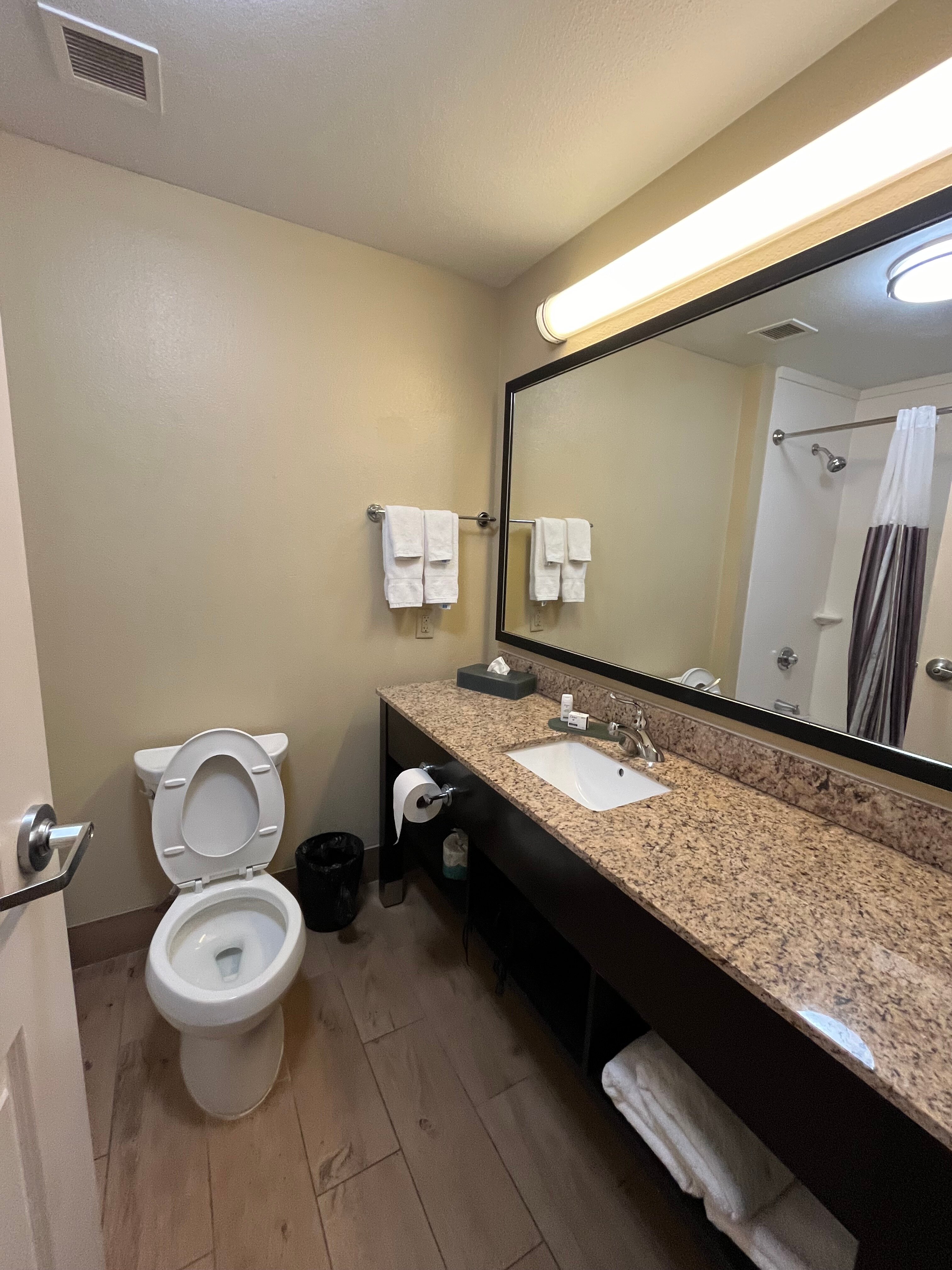 La Quinta Inn & Suites by Wyndham Carlsbad-浴室