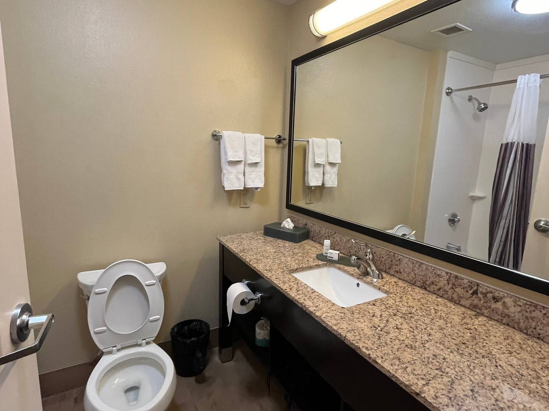 La Quinta Inn & Suites by Wyndham Carlsbad主图