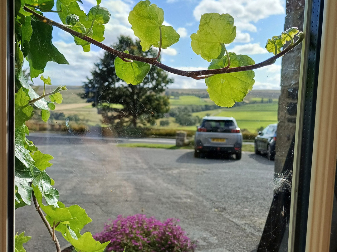 The Redesdale Arms主图