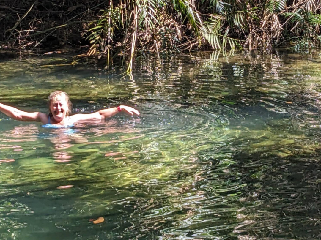 Mason's Swimming Hole-Cape Tribulation必去景点