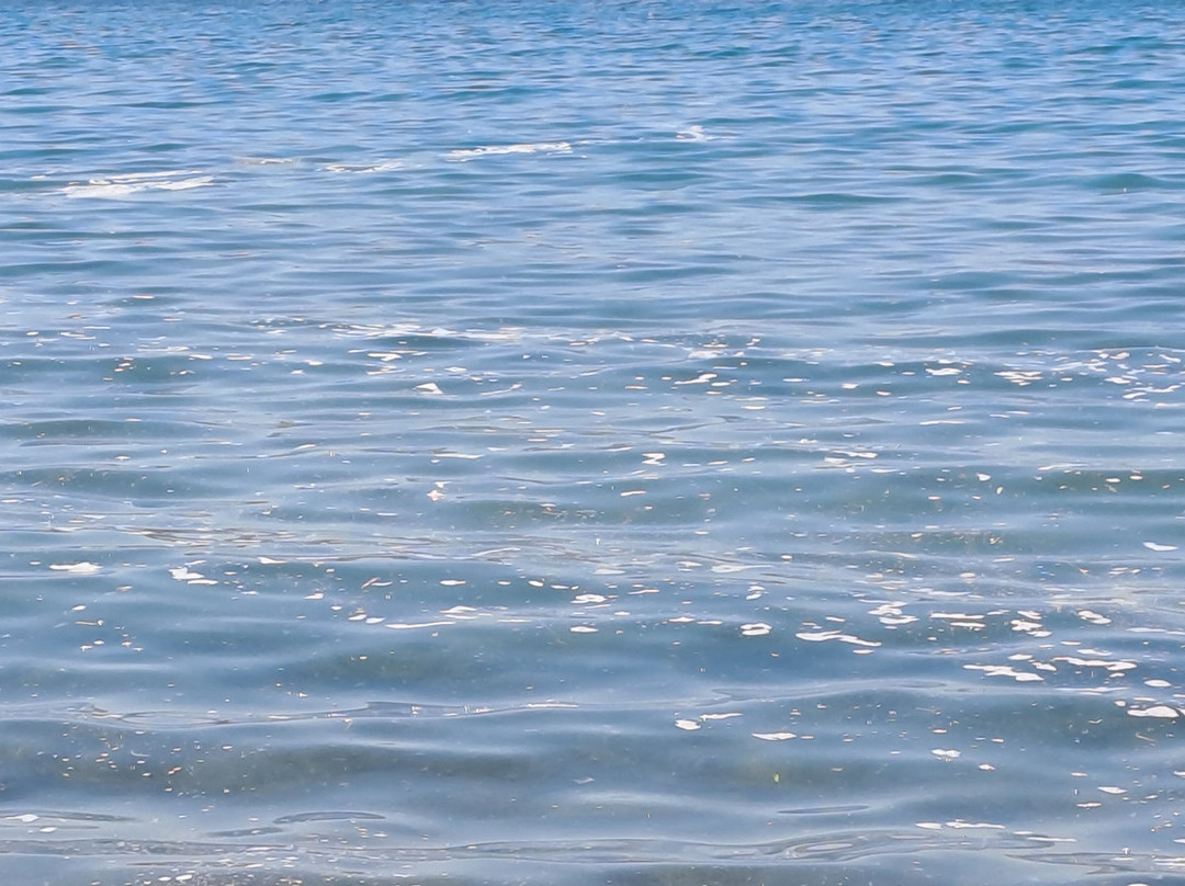 Petra Beach-Petra必去景点