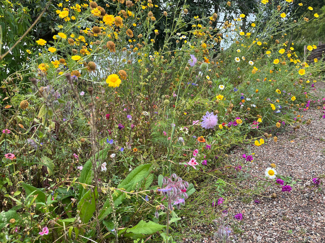 Langeland's Beekeepers' Association