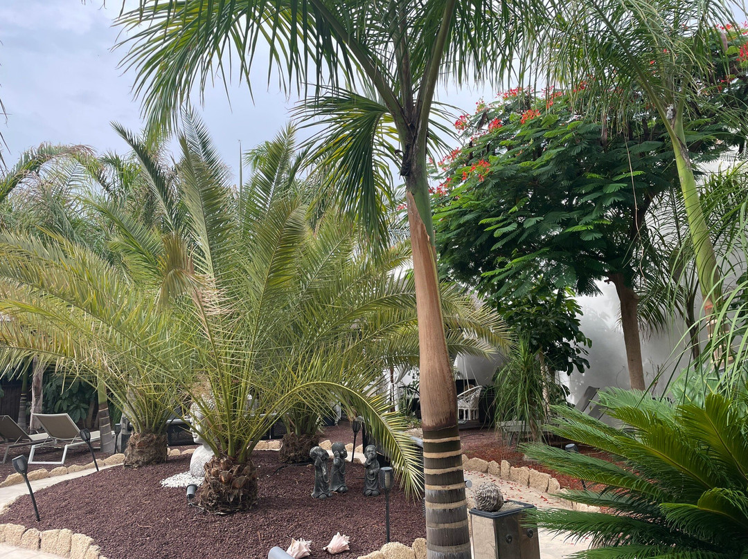 Finca La Barca
