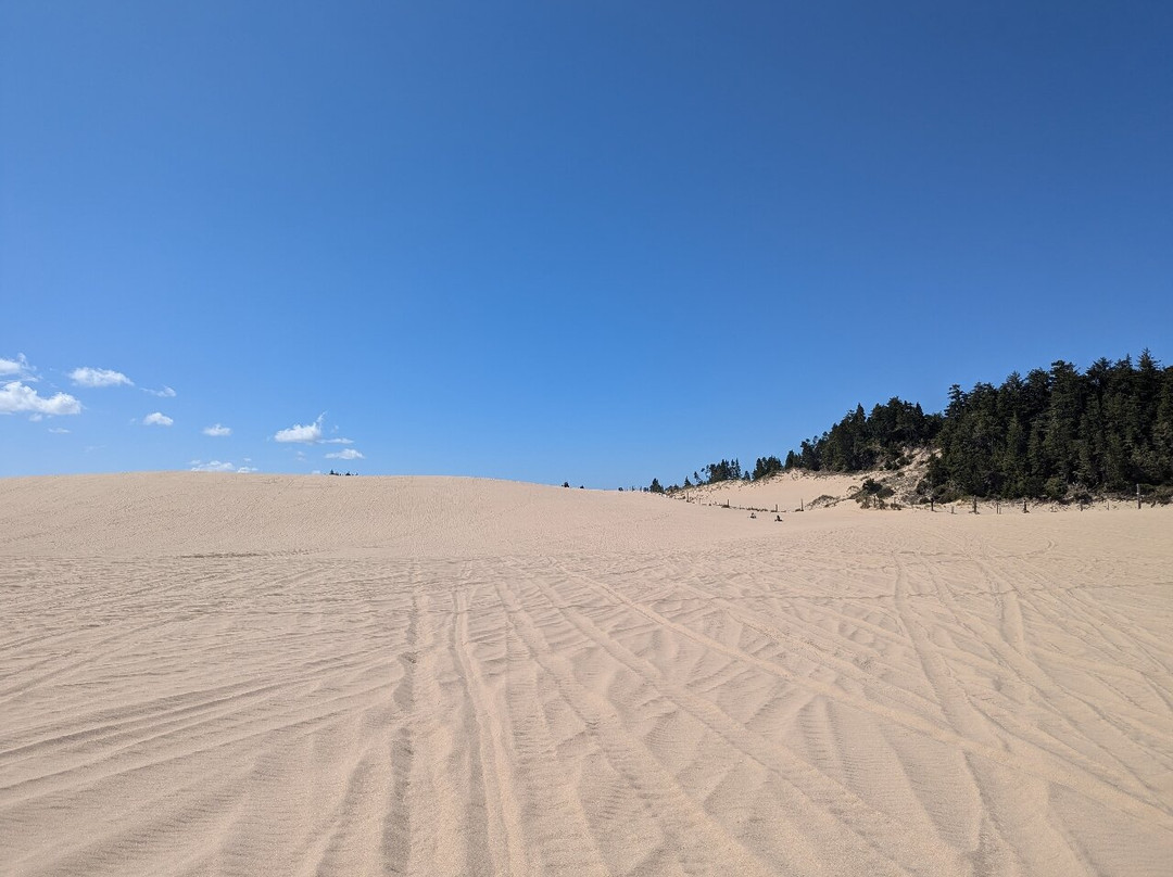Steve's ATV-North Bend必去景点