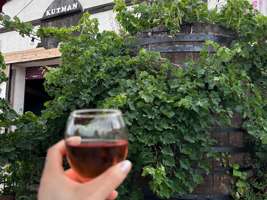 Kutman Wine Museum-Sarkoy必去景点