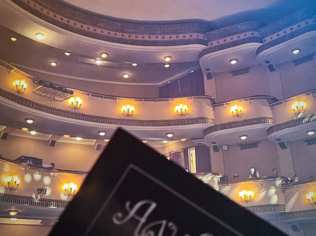 Theater of The Young Viewer-克拉斯诺亚尔斯克必去景点