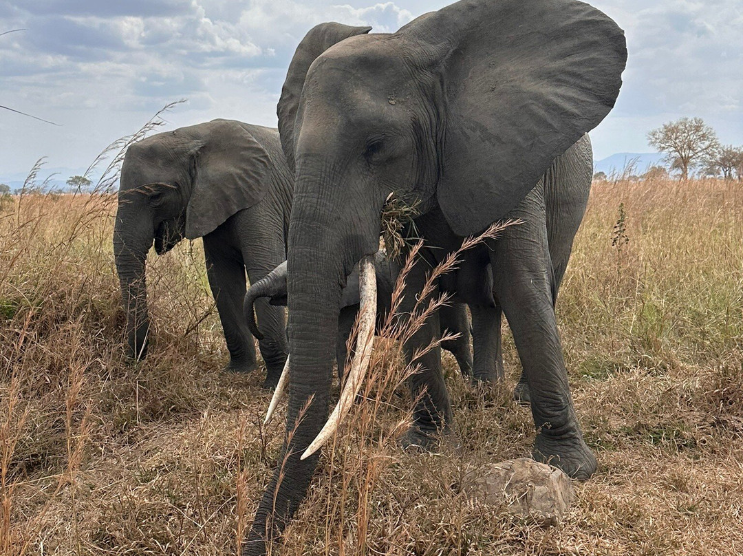 Escursioni Ronaldo-Kendwa必去景点