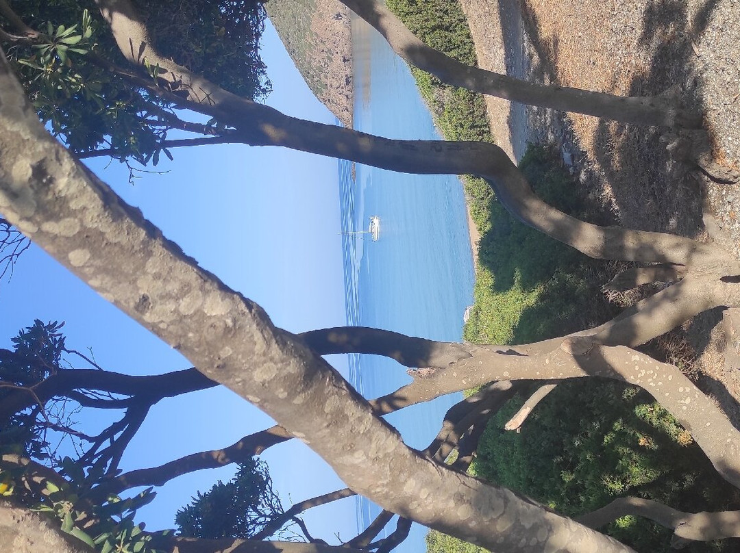 Funtanazza Beach-阿尔布斯必去景点