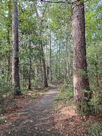 Double Lake Recreation Area-Coldspring必去景点