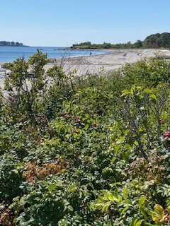 Crescent Beach State Park-开普伊丽莎白必去景点