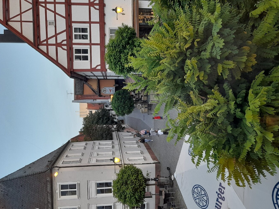 Hotel Guntia Gunzburg主图