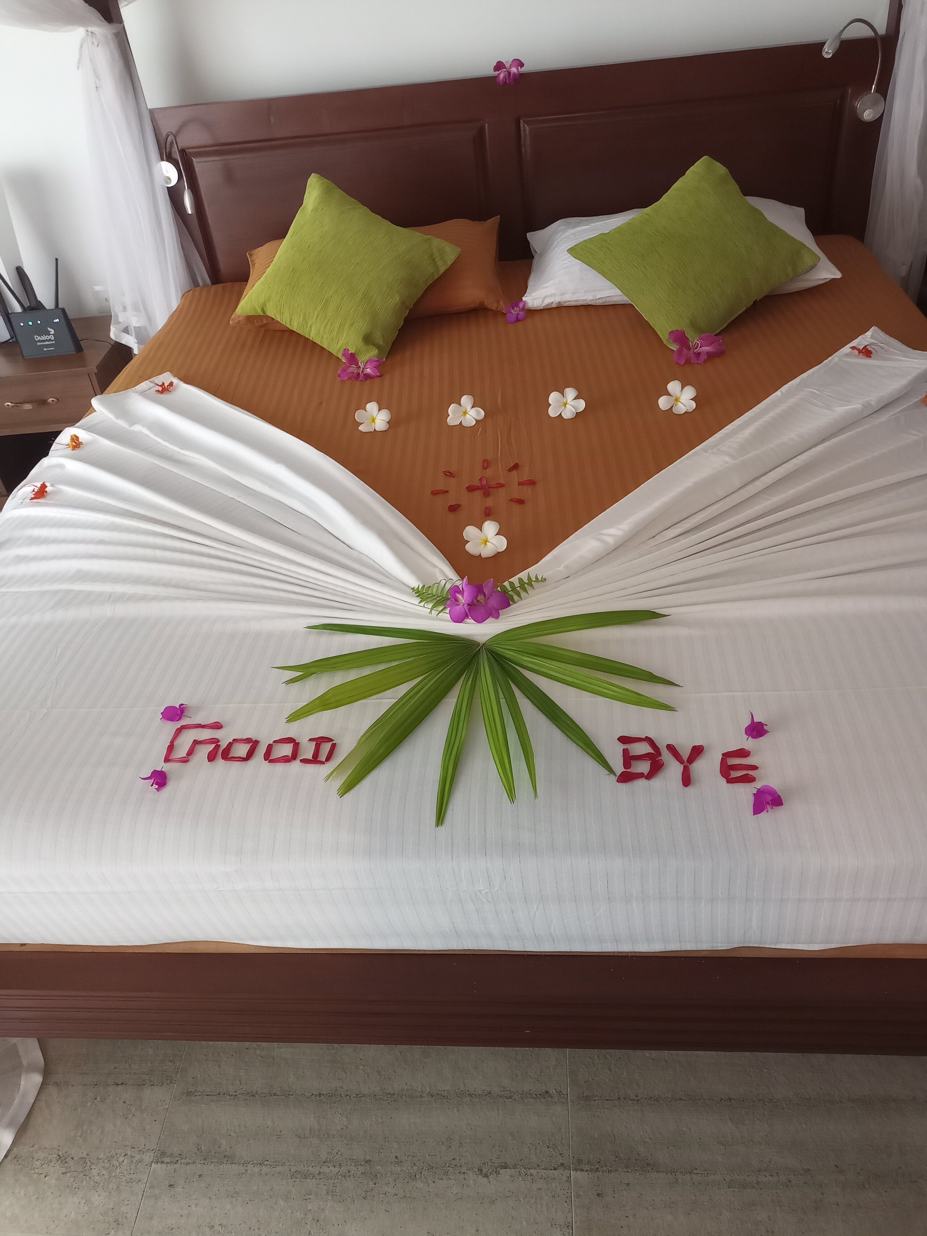 Silent Garden All Meals Treatments-客卧