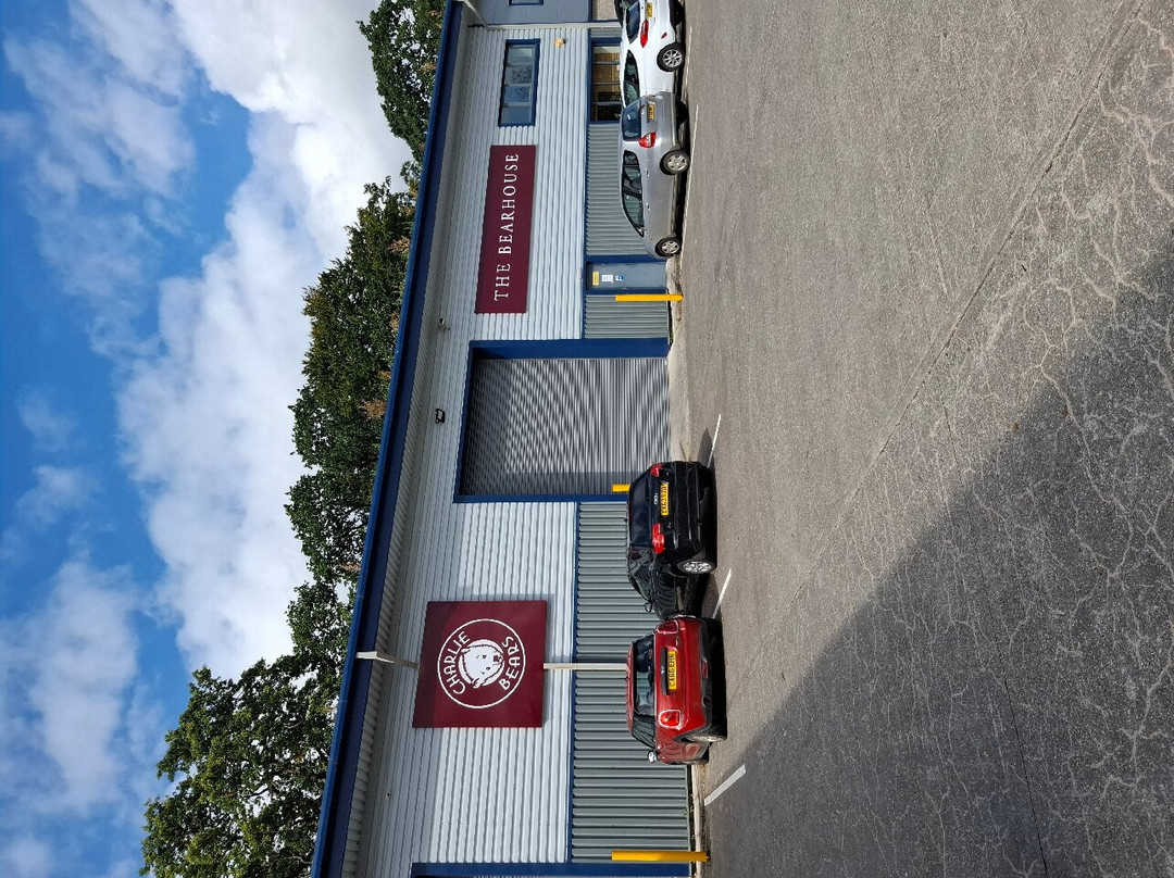 Charlie Bears Gallery & Shop-朗塞斯顿必去景点