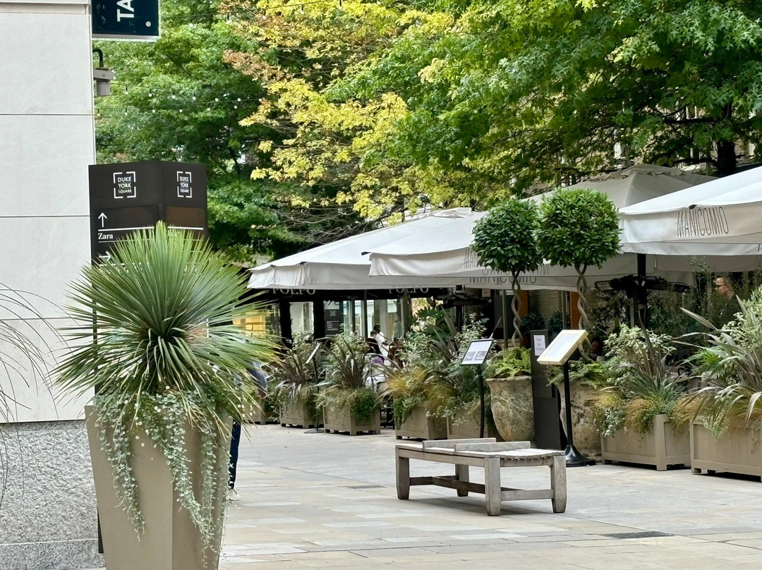 约克公爵广场-伦敦必去景点