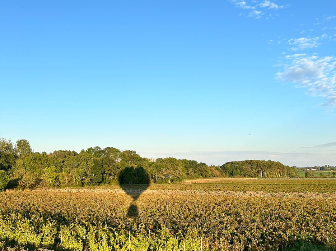 Beaune Montgolfiere景点图片