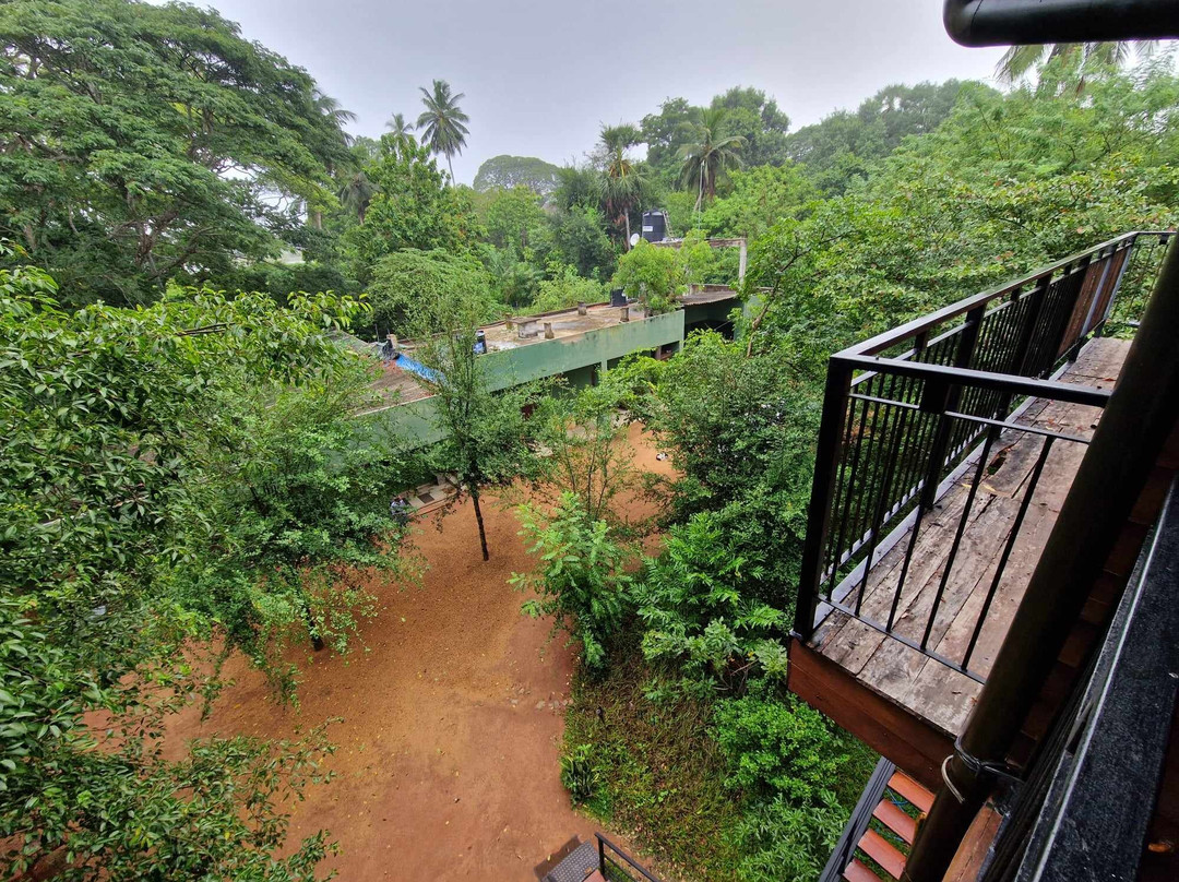 Wilpattu Tree House Hotel主图