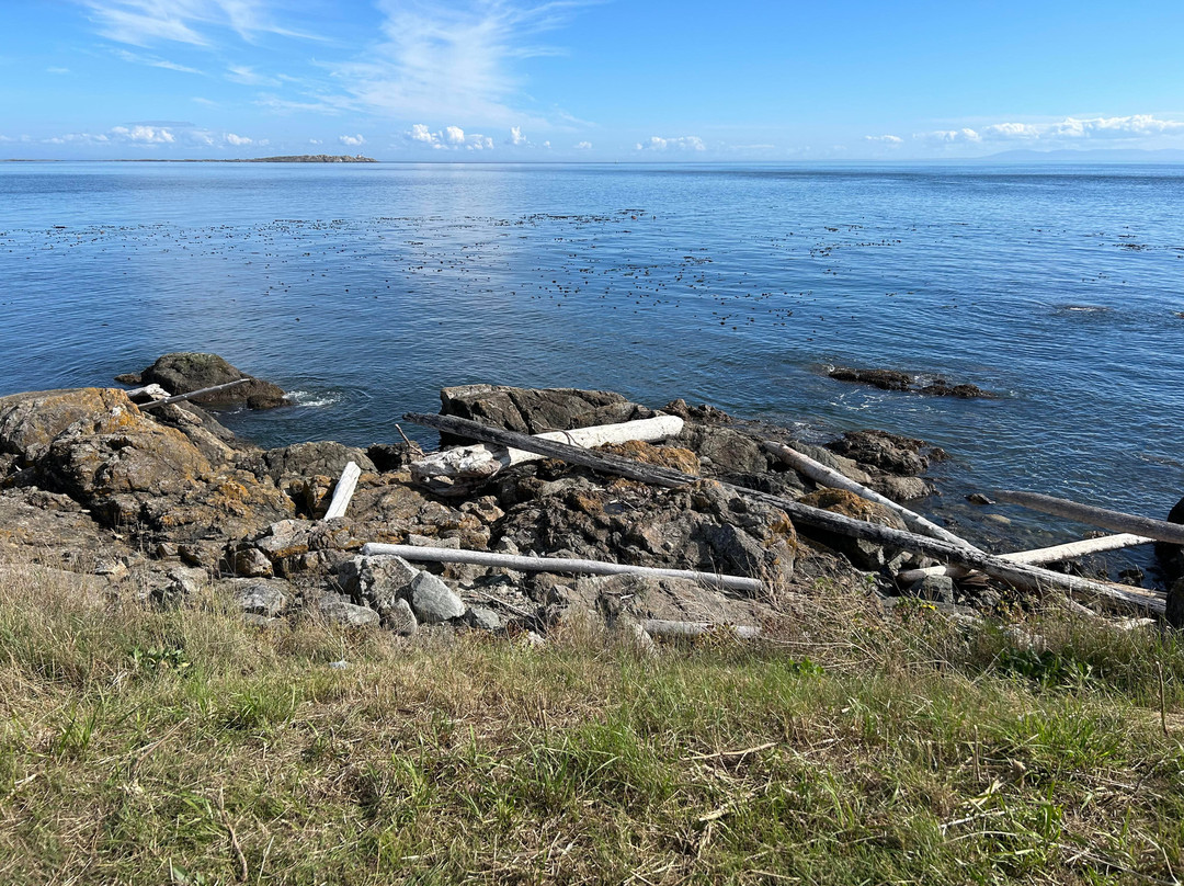 Clover Point Park景点图片
