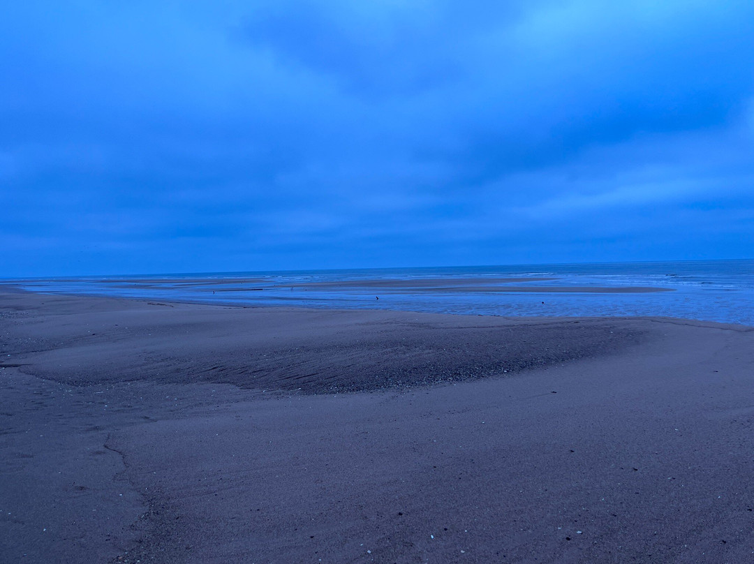 Balmedie Beach & Country Park-Balmedie必去景点