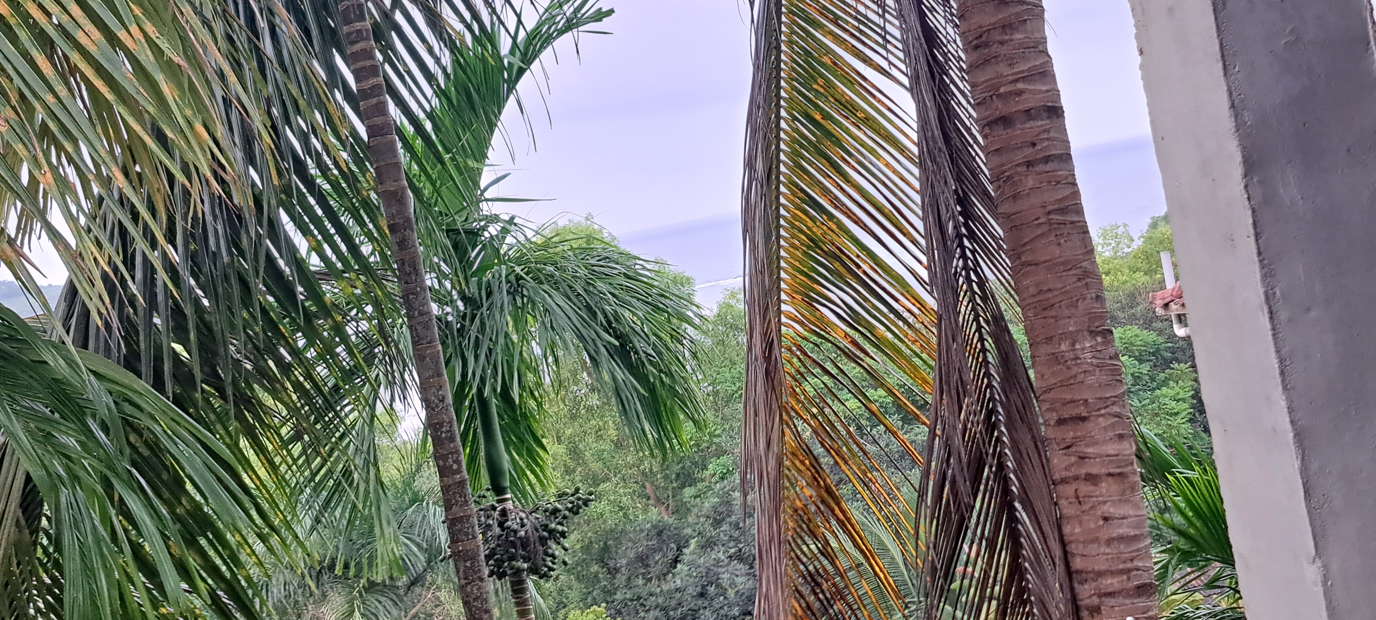 Kudle Beach View Resort And Spa-酒店景观