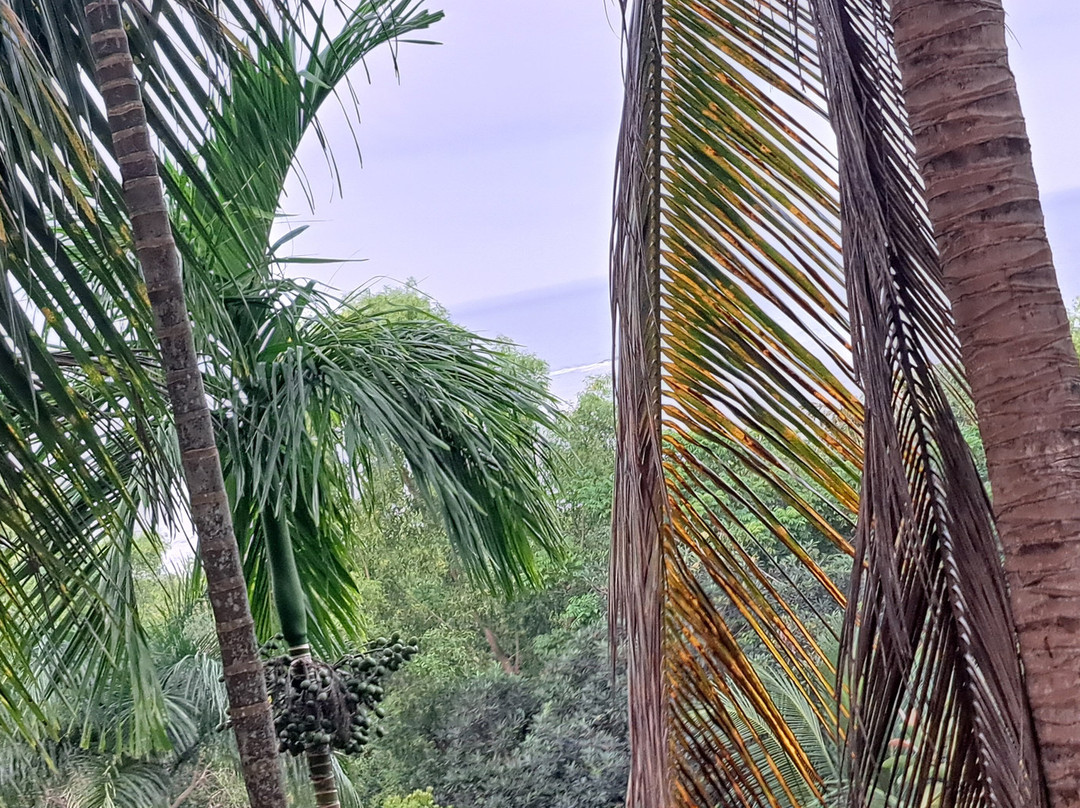 Kudle Beach View Resort And Spa主图