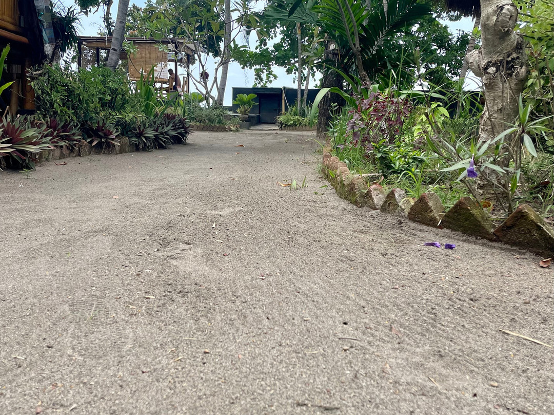 林加尼海滩生态度假酒店主图