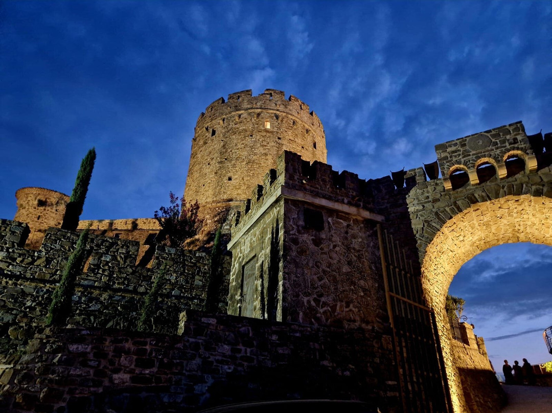 Castello di Rocca Cilento景点图片
