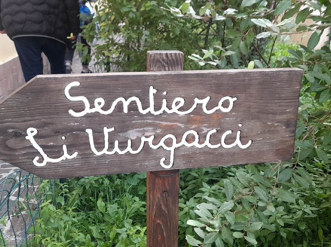 Sentiero Li Vurgacci景点图片