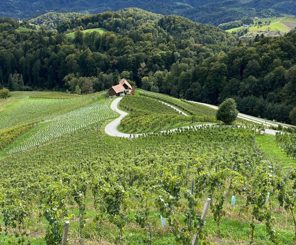 Šerbinek Winery & the Heart-Shaped Wine Road-Zgornja Kungota必去景点