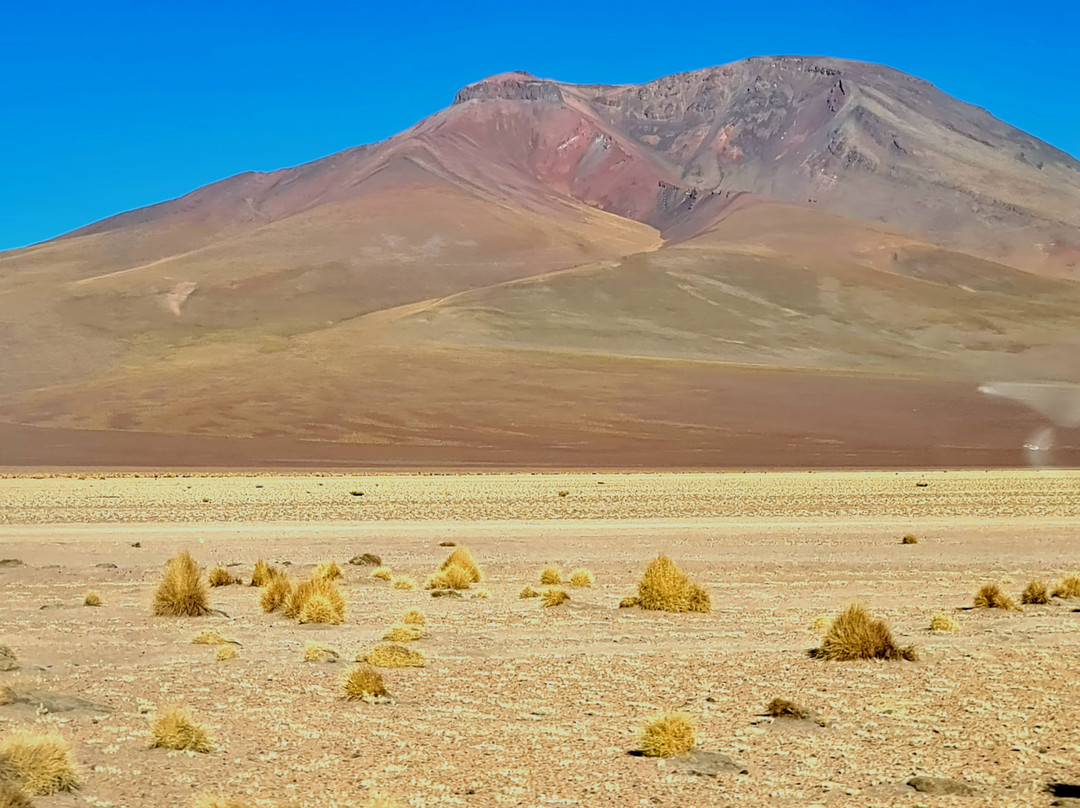 Encanto del SUD Tour Operator-Tupiza必去景点