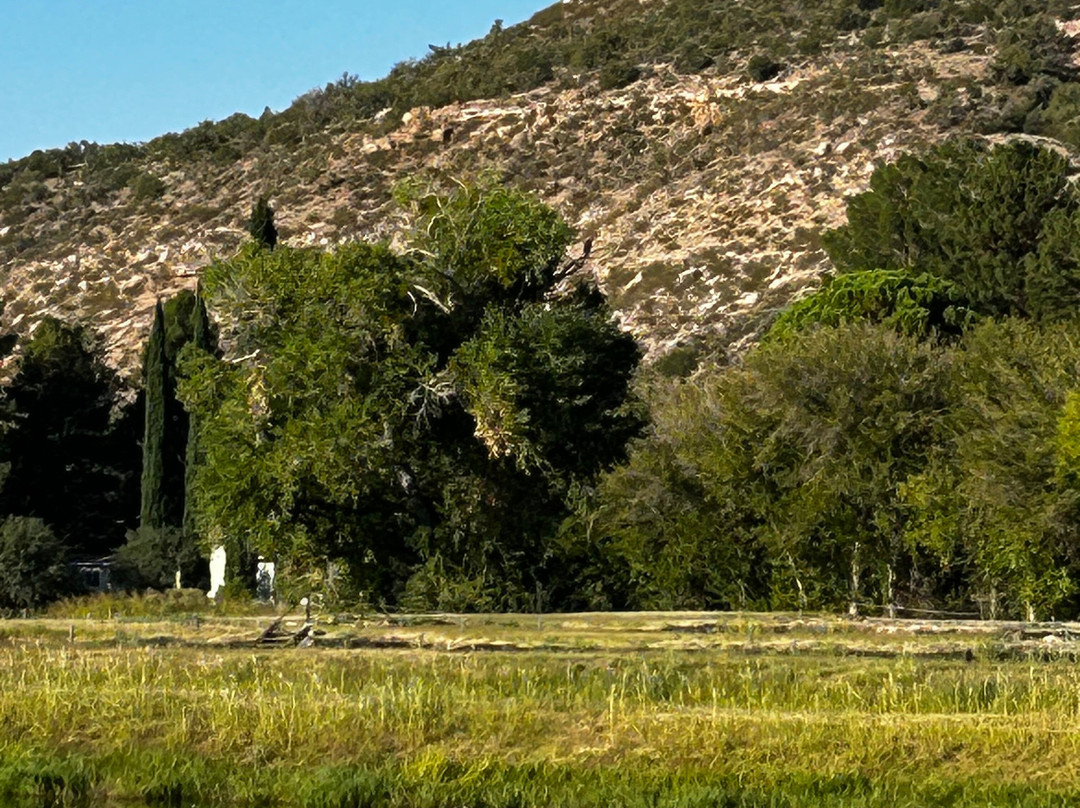 Birding Northern Arizona景点图片