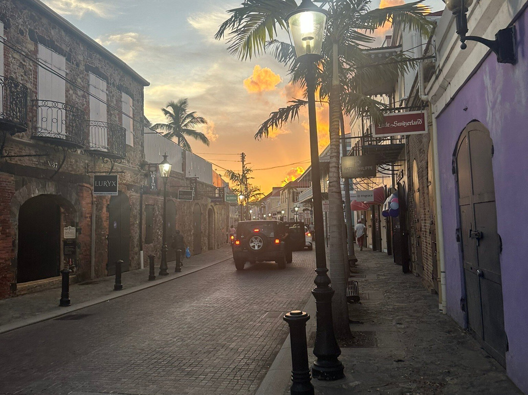 The Green Iguana Hotel主图