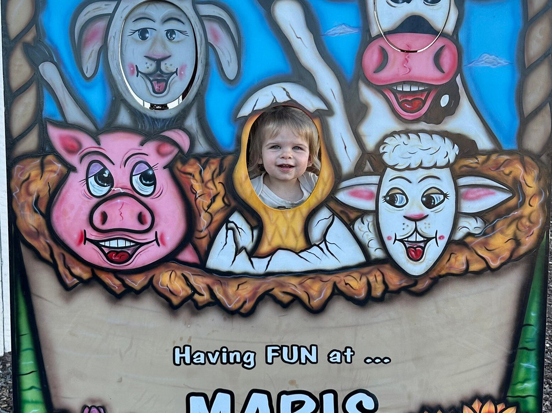 Maris Farms-Buckley必去景点