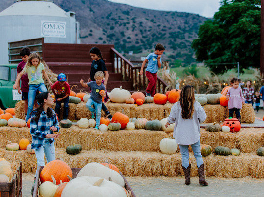 Oma's Family Farm-Lakeside必去景点
