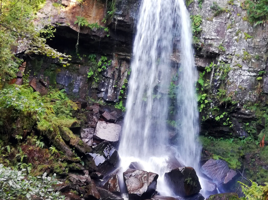Melincourt Waterfall景点图片
