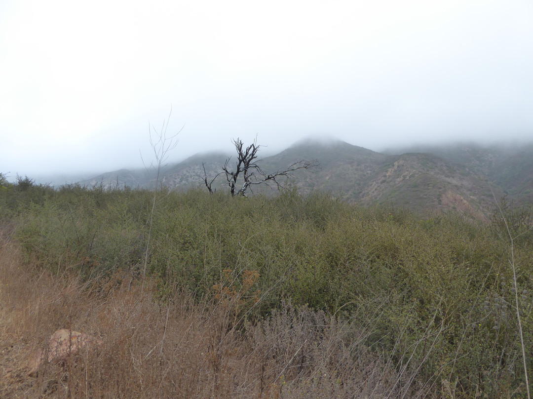 Zuma and Trancas Canyons-马里布必去景点