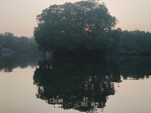 Tangalle Lagoon - Kayak-唐卡拉必去景点