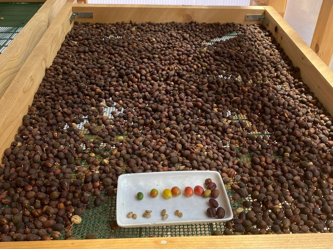 Finca Los Castanos景点图片