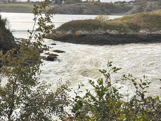 Hugo Bus Tours and Shore Excursions-圣约翰必去景点