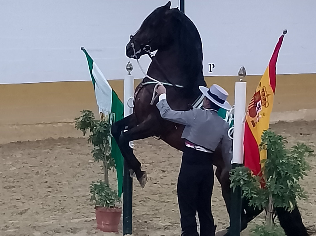Centro de Equitacion El Ranchito-托雷莫里诺斯必去景点