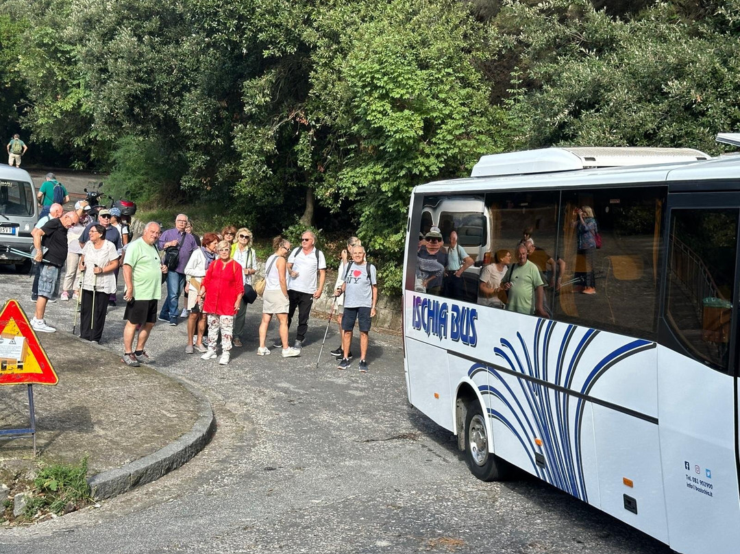 Ischia Bus-伊斯基亚必去景点
